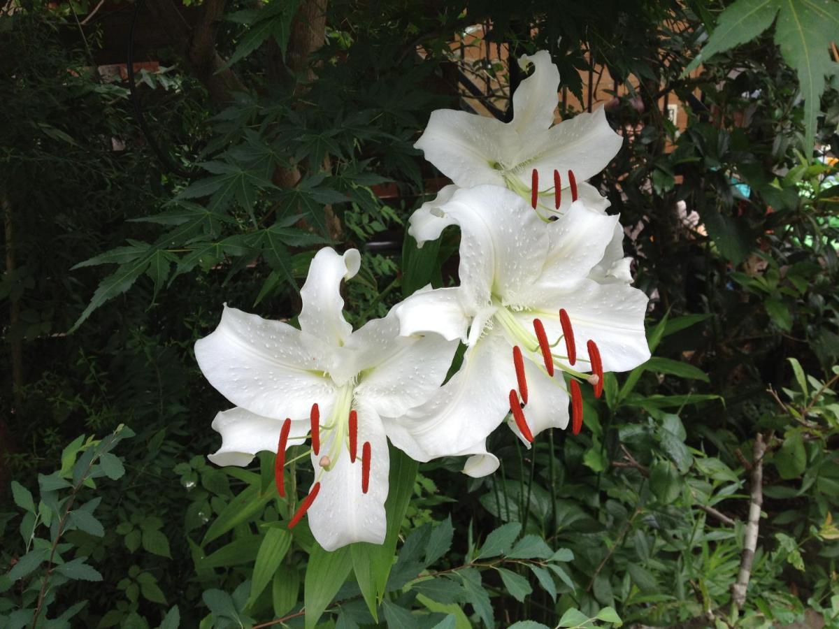 Otsu Nature Garden Akiruno Екстер'єр фото