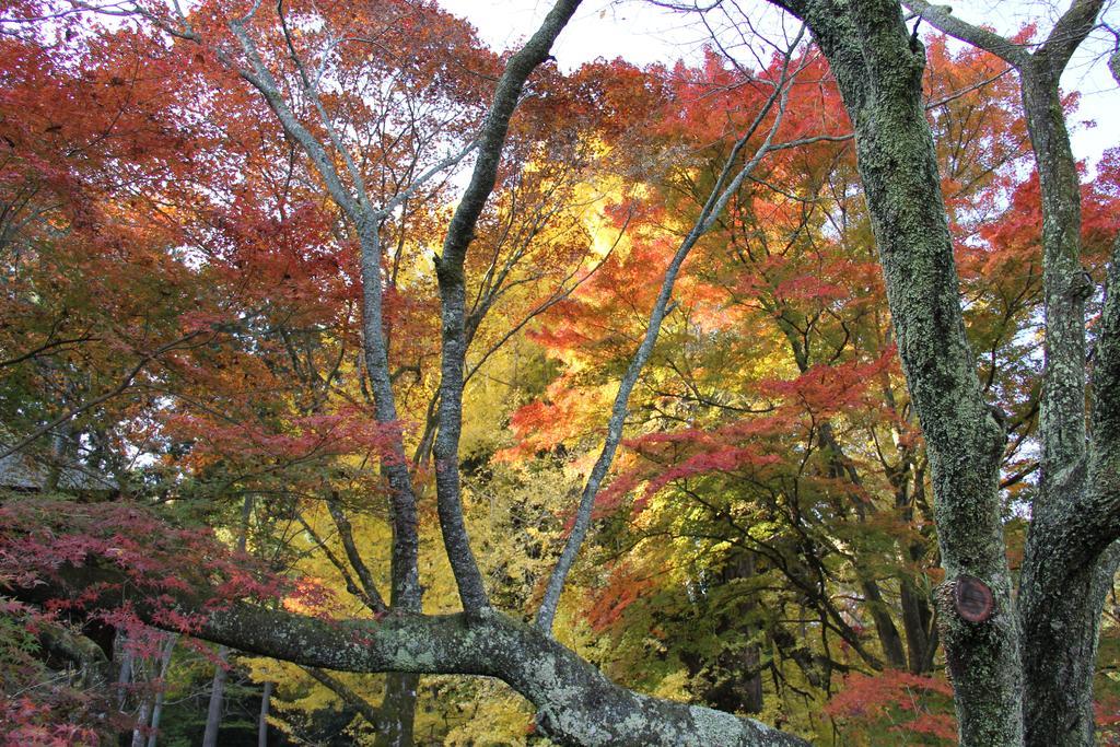 Otsu Nature Garden Akiruno Екстер'єр фото