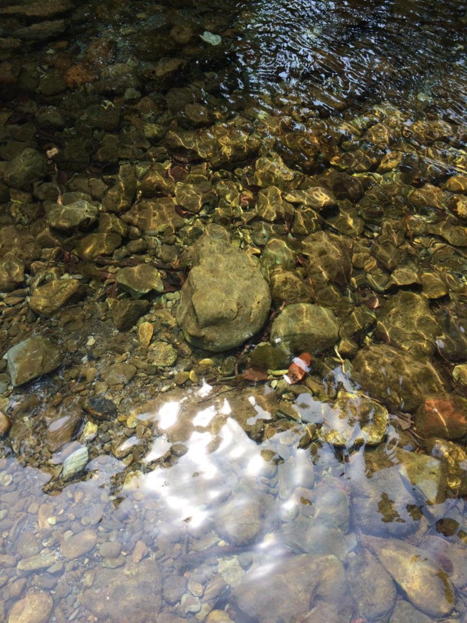Otsu Nature Garden Akiruno Екстер'єр фото